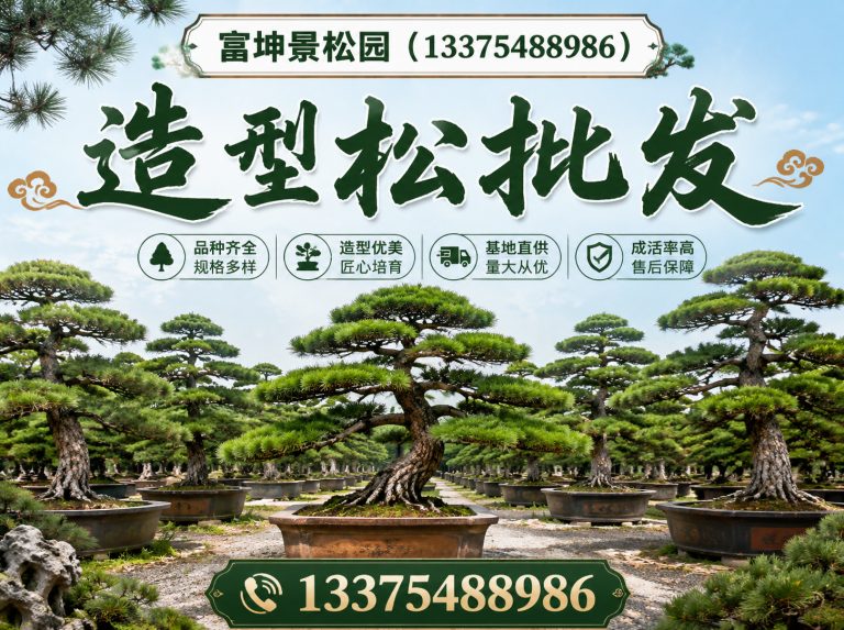 岱岳区富坤景松园展示图